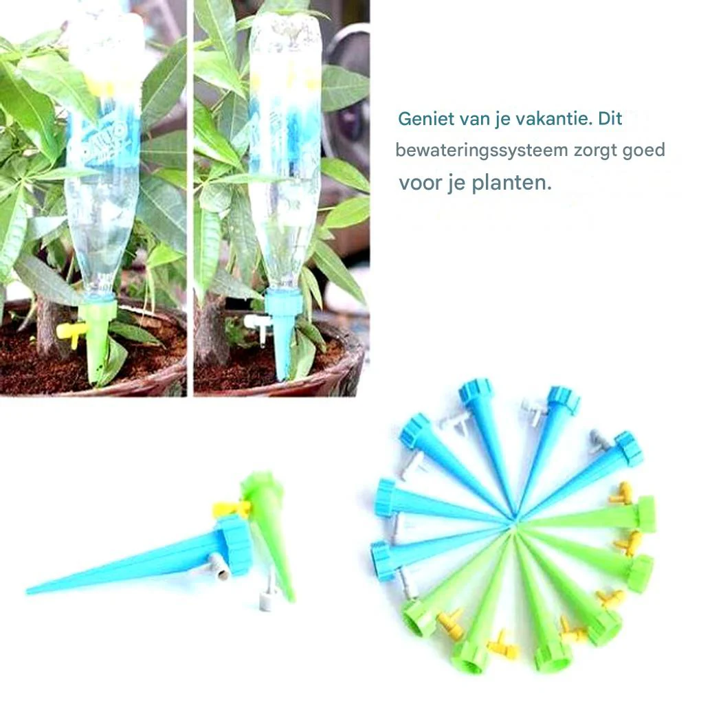 Miniatuur 8