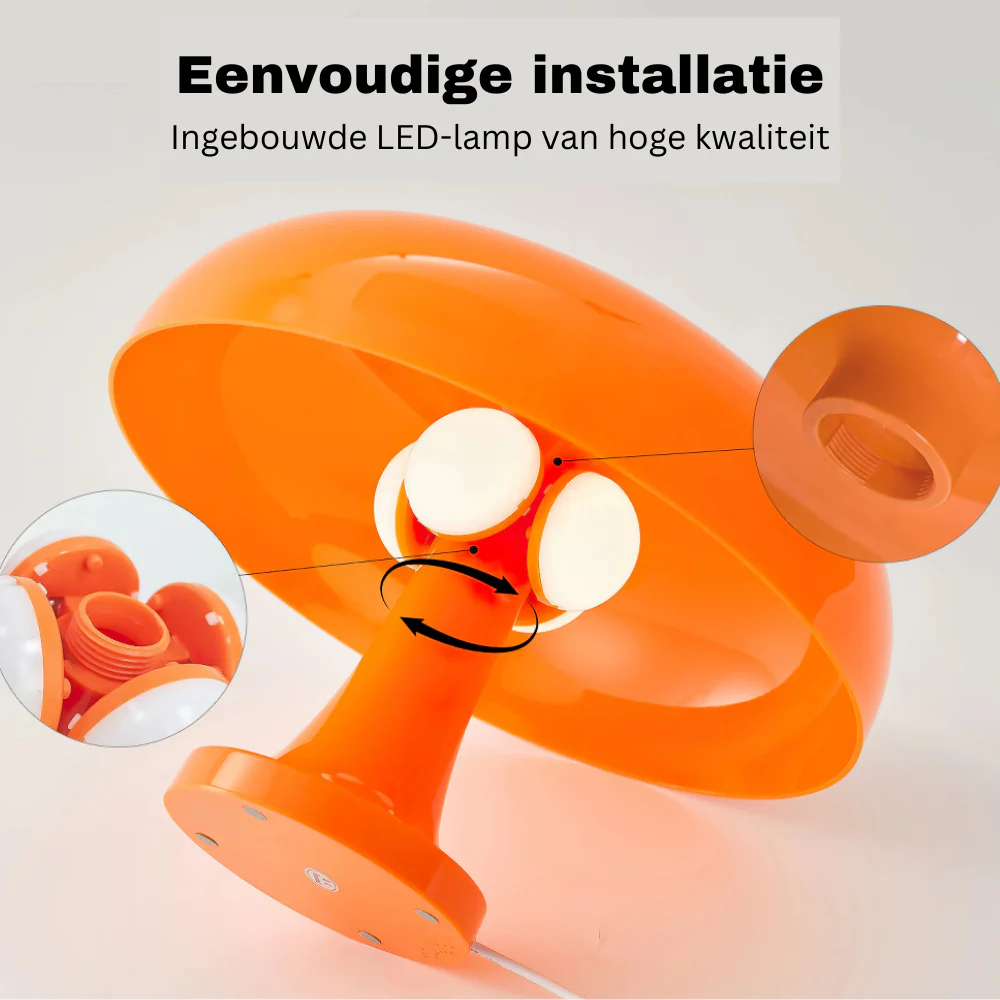 Miniatuur 8