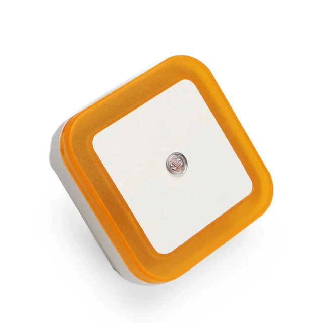 Miniatuur 5