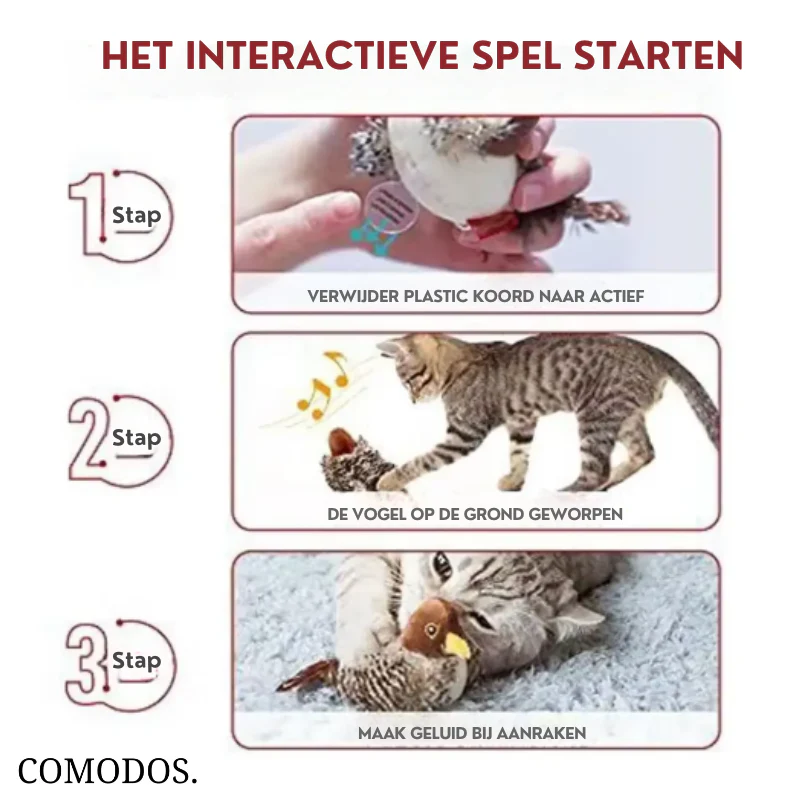 Miniatuur 3