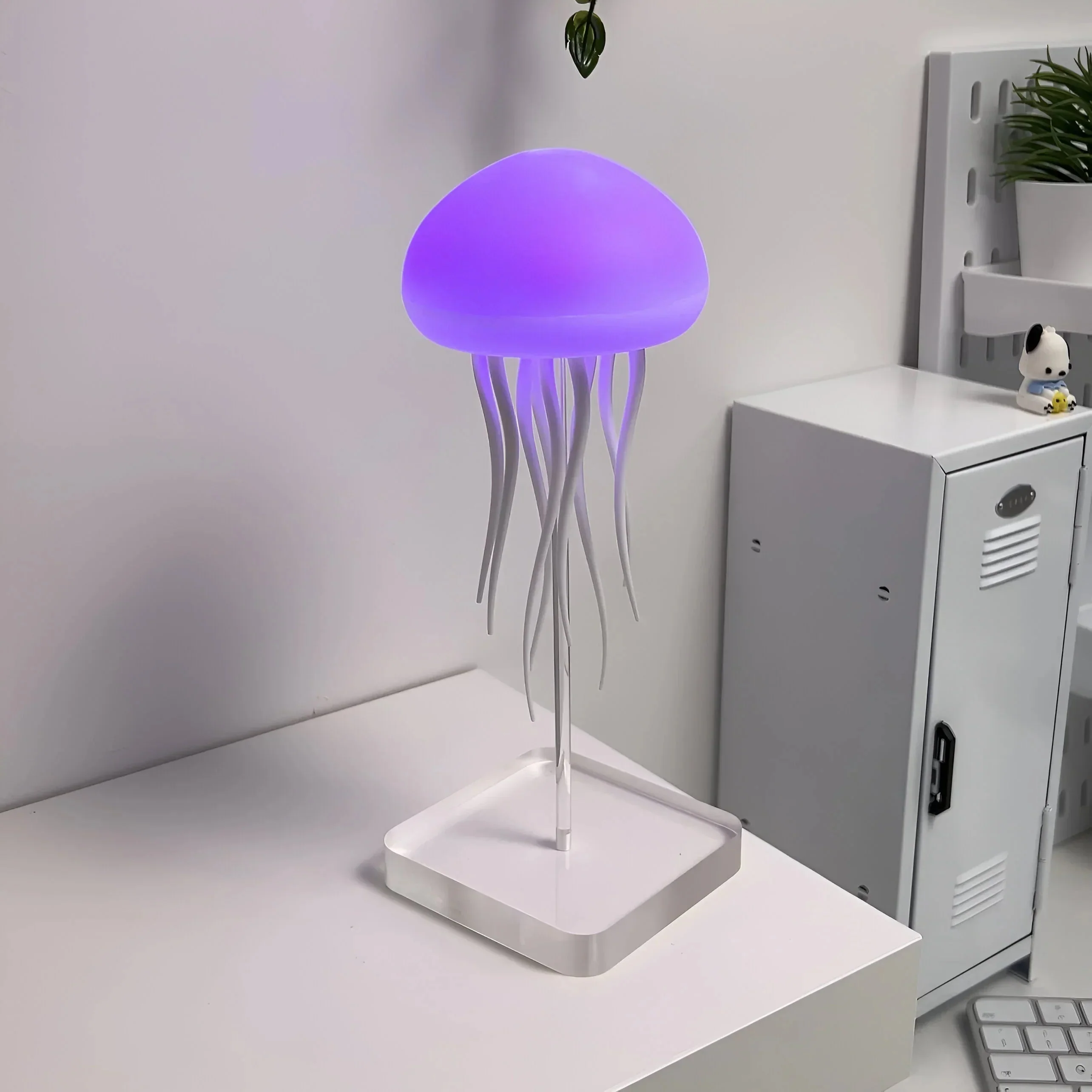 Miniatuur 6