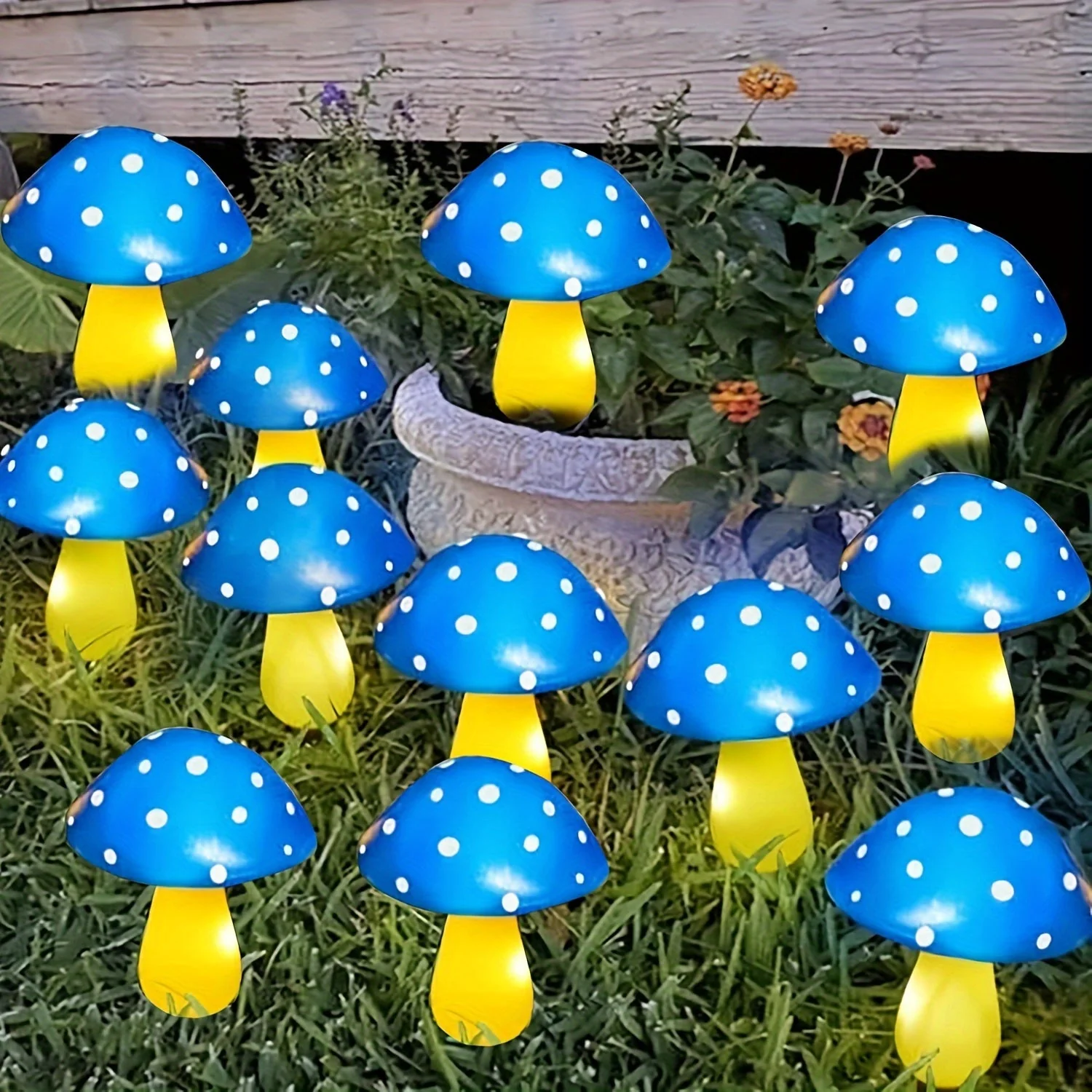 Miniatuur 12