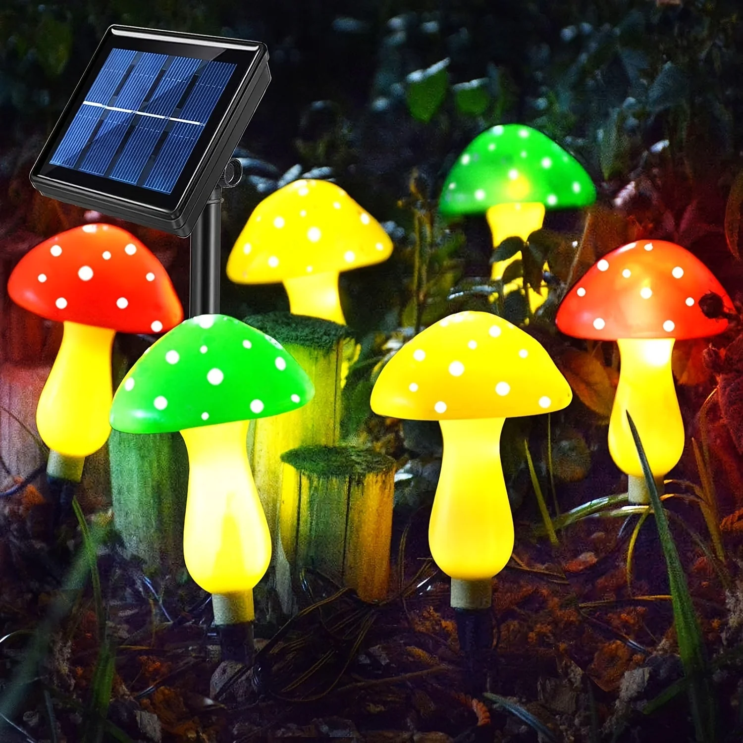 Miniatuur 14