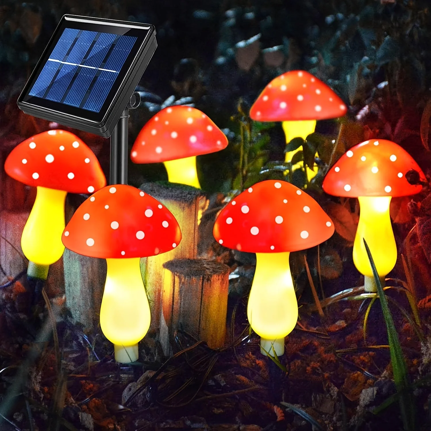 Miniatuur 3