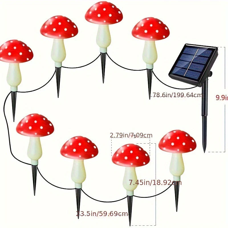 Miniatuur 4