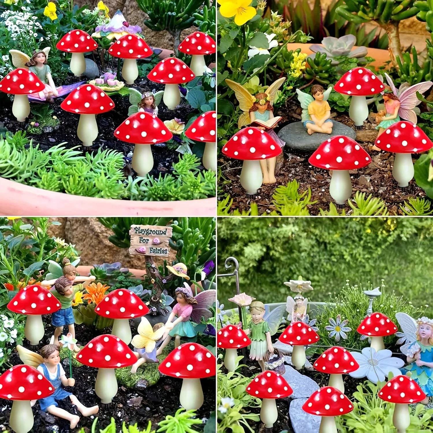 Miniatuur 6