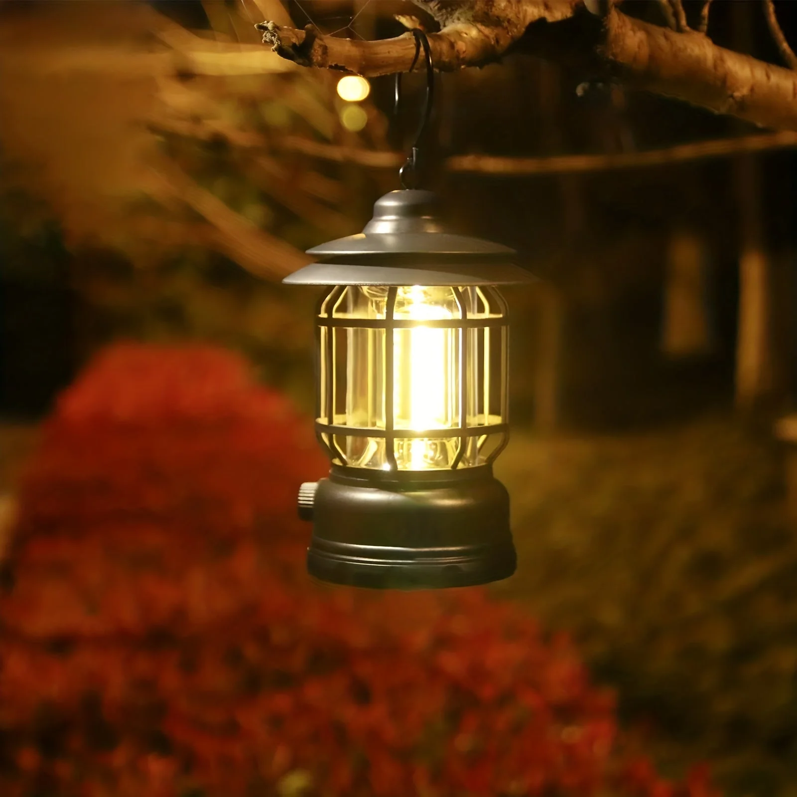 Miniatuur 7