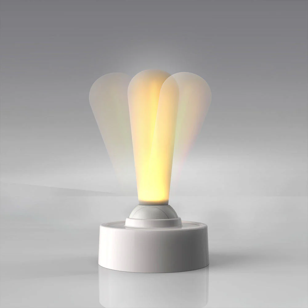 Miniatuur 5