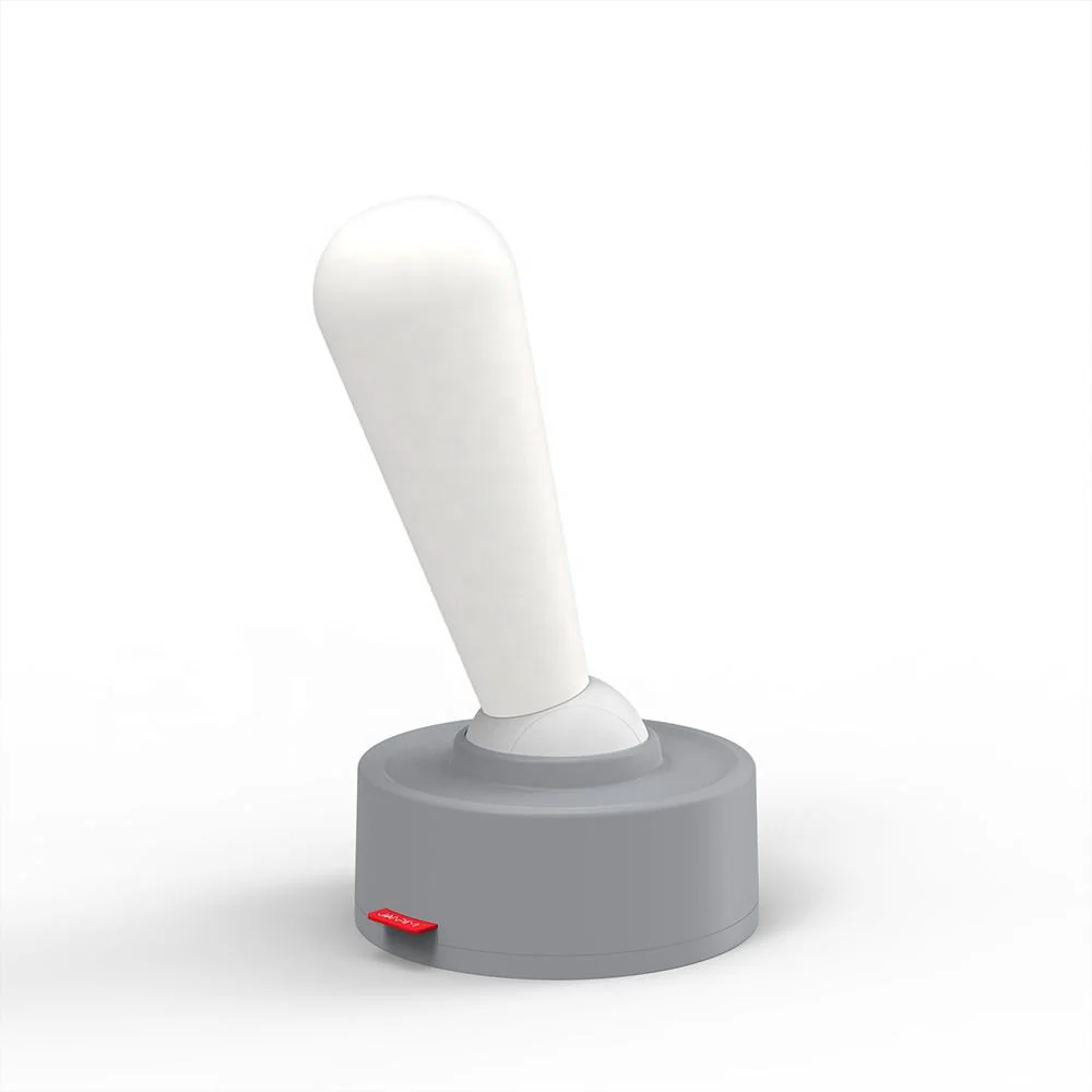 Miniatuur 7