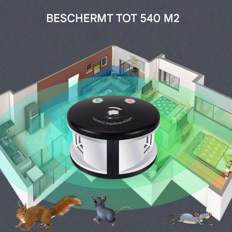 Miniatuur 5