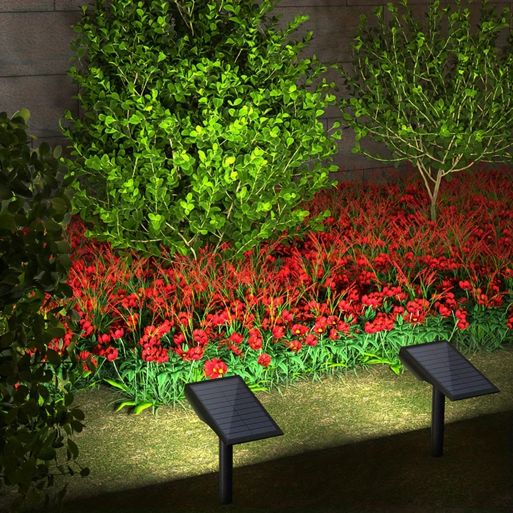 Miniatuur 3